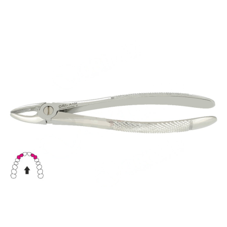 Kleszcze Berten fig. 2 do górnych siekaczy i kłów