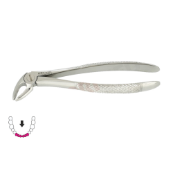 Kleszcze Berten fig. 4 do dolnych siekaczy i kłów