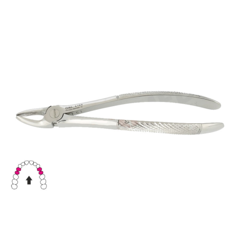 Kleszcze Berten fig. 7 do górnych przedtrzonowców