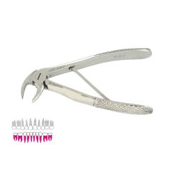 Kleszcze do zębów mlecznych, do dolnych korzeni