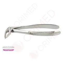  Powiększ KLESZCZE BERTEN FIG. 33 L / DOLNE KORZENIE