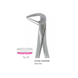 KLESZCZE BERTEN DO ZĘBÓW MLECZNYCH 12 CM / GÓRNE SIEKACZE