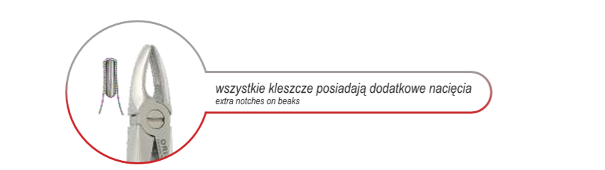 KLESZCZE BERTEN DO ZĘBÓW MLECZNYCH 12 CM / GÓRNE SIEKACZE