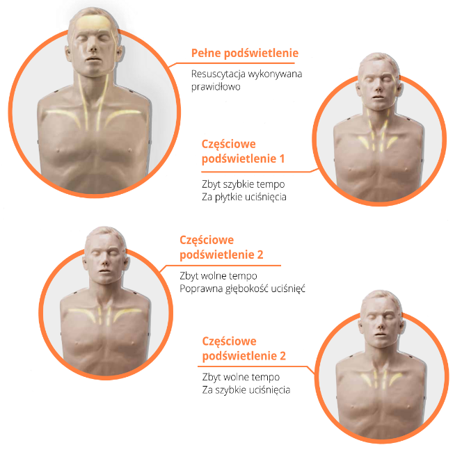 Fantom do nauki resuscytacji Brayden LED white