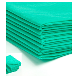 Medyczne prześcieradło ZIELONE diagnos./włókn. 160 cm x 210 cm/28gm2 10szt