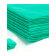 Medyczne prześcieradło ZIELONE diagnos./włókn. 160 cm x 210 cm/28gm2 10szt