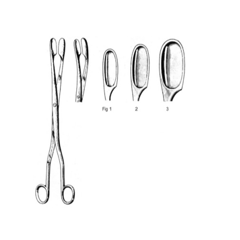 Kleszczyki Winter dł. 28cm fig.1