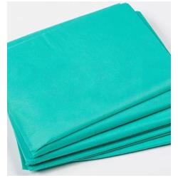 Prześcieradło jednorazowego użytku podfoliowane 80 x 220, zielone, 35g/m2, op. 10 szt.