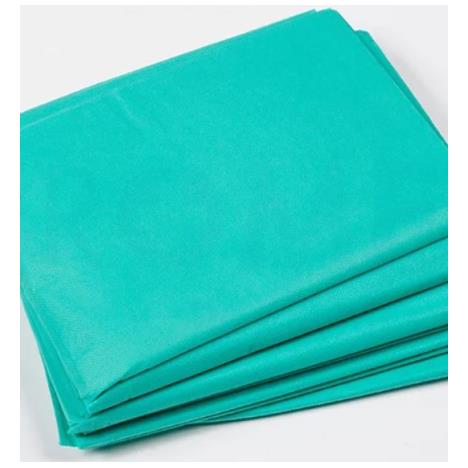 Prześcieradło jednorazowego użytku podfoliowane 80 x 220, zielone, 35g/m2, op. 10 szt.