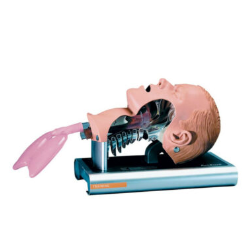Fantom głowy do nauki intubacji Ambu Airway Management Trainer