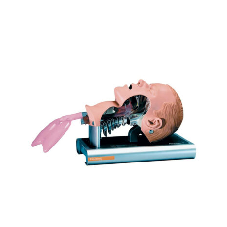 Fantom głowy do nauki intubacji Ambu Airway Management Trainer
