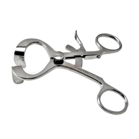 Szczękorozwierak Molt, dł. 11 cm