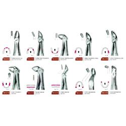 Zestaw podstawowych kleszczy Berten 10 szt.