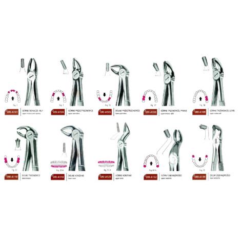 Zestaw podstawowych kleszczy Berten 10 szt.