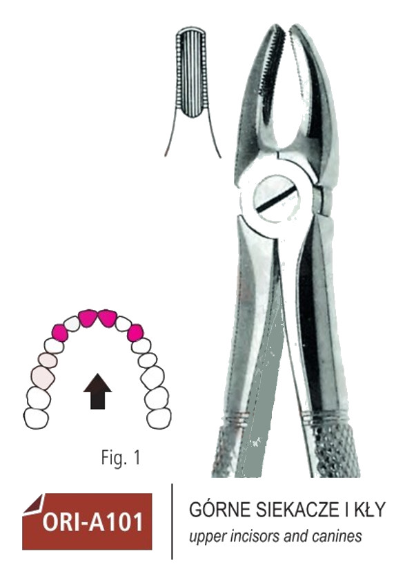 Zestaw podstawowych kleszczy Berten 10 szt.