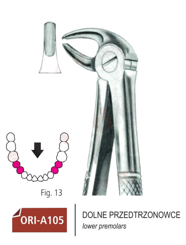 Zestaw podstawowych kleszczy Berten 10 szt.