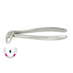 Kleszcze Berten fig. 13 S / DOLNE PRZEDTRZONOWCE