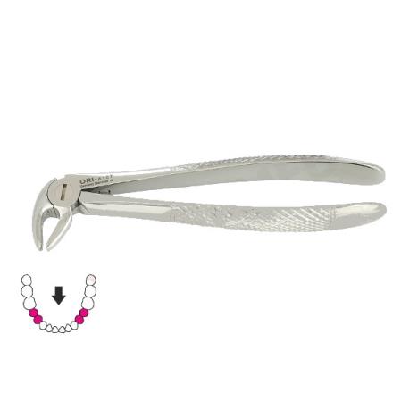 Kleszcze Berten fig. 13 S / DOLNE PRZEDTRZONOWCE