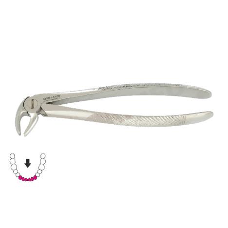 Kleszcze Berten fig. 13 A / DOLNE SIEKACZE I KŁY