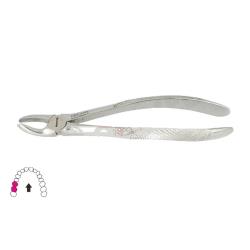 Kleszcze Berten fig. 17 / GÓRNE TRZONOWCE PRAWE