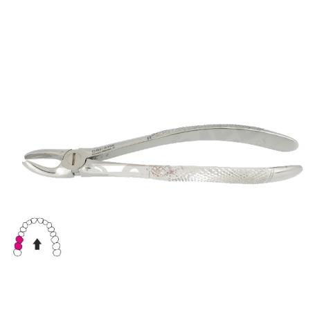 Kleszcze Berten fig. 17 / GÓRNE TRZONOWCE PRAWE