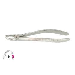 Kleszcze Berten fig. 18 / GÓRNE TRZONOWCE LEWE