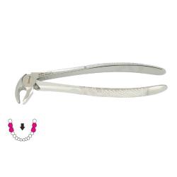 Kleszcze Berten fig. 22 / DOLNE TRZONOWCE