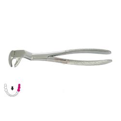 Kleszcze ekstrakcyjne Routurier / DOLNE TRZONOWCE I ZĄB MĄDROŚCI LEWE