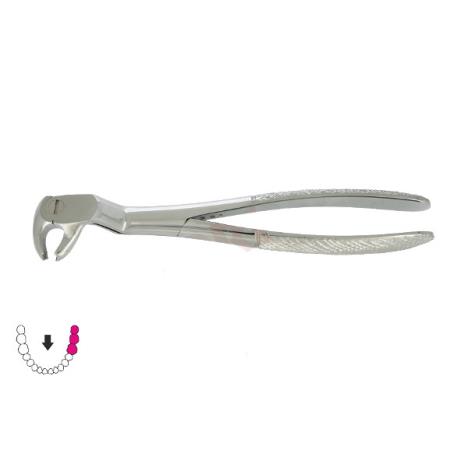 Kleszcze ekstrakcyjne Routurier / DOLNE TRZONOWCE I ZĄB MĄDROŚCI LEWE
