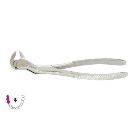 Kleszcze ekstrakcyjne Routurier / DOLNE TRZONOWCE I ZĄB MĄDROŚCI PRAWE