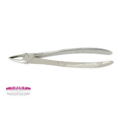 Kleszcze Berten fig. 29 / GÓRNE KORZENIE