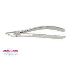 Kleszcze Berten fig. 30 / GÓRNE KORZENIE