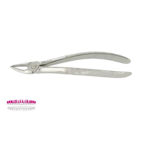 Kleszcze Berten fig. 30 / GÓRNE KORZENIE