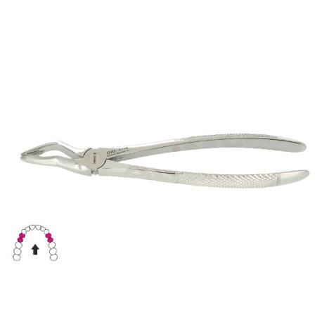 Kleszcze Berten fig. 31 / GÓRNE PRZEDTRZONOWCE