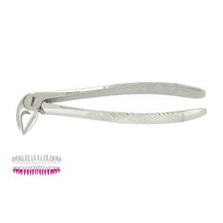 Kleszcze Berten fig. 33 / DOLNE KORZENIE