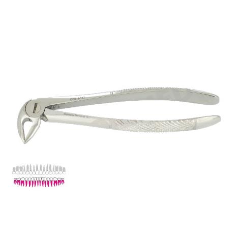 Kleszcze Berten fig. 33 / DOLNE KORZENIE