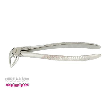 Kleszcze Berten fig. 33 A / DOLNE KORZENIE