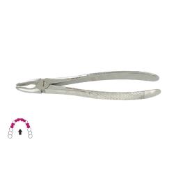 Kleszcze Berten fig. 34 / GÓRNE SIEKACZE I PRZEDTRZONOWCE