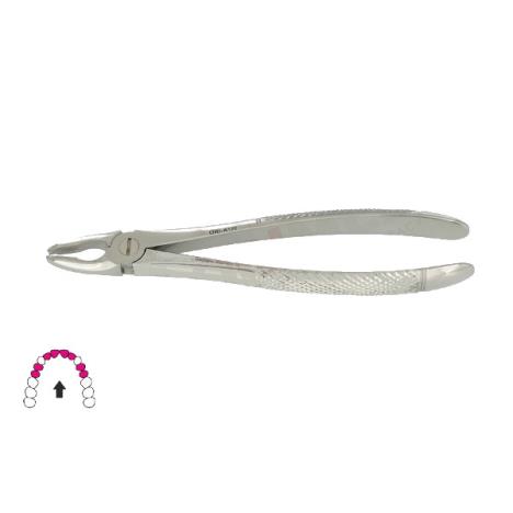 Kleszcze Berten fig. 34 / GÓRNE SIEKACZE I PRZEDTRZONOWCE