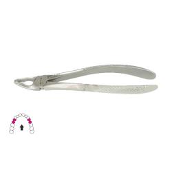 Kleszcze Berten fig. 35 / GÓRNE PRZEDTRZONOWCE