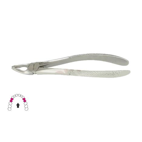 Kleszcze Berten fig. 35 / GÓRNE PRZEDTRZONOWCE