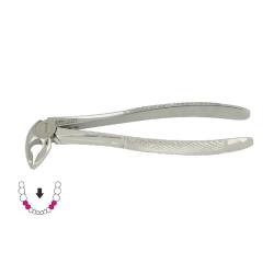 Kleszcze Berten fig. 36 / DOLNE PRZEDTRZONOWCE