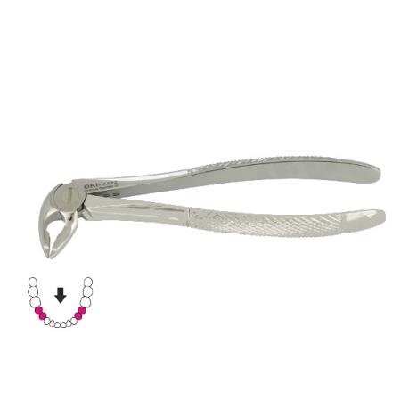 Kleszcze Berten fig. 36 / DOLNE PRZEDTRZONOWCE