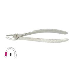 Kleszcze Berten fig. 39 R / GÓRNE TRZONOWCE PRAWE