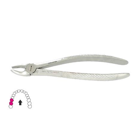 Kleszcze Berten fig. 39 R / GÓRNE TRZONOWCE PRAWE