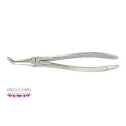 Kleszcze Berten fig. 46 M / DOLNE KORZENIE