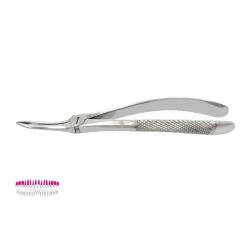 Kleszcze Berten fig. 49 / GÓRNE KORZENIE