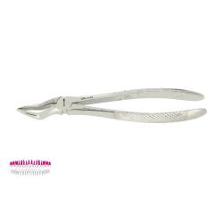 Kleszcze Berten fig. 51 / GÓRNE KORZENIE