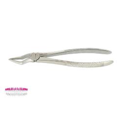 Kleszcze Berten fig. 51 A / GÓRNE KORZENIE