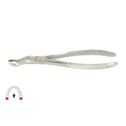 Kleszcze Berten fig. 67 / GÓRNY ZĄB MĄDROŚCI